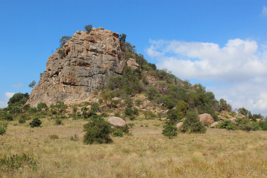 Kr&uuml;ger Park - Afrikanischer Busch - Inselberg / Kruger Park - African bush - Koppie /