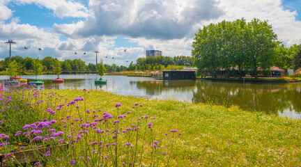 Fototapeta na wymiar Cable car over a park in a blue and bright sky in summer, Almere, Flevoland, The Netherlands, August, 2022
