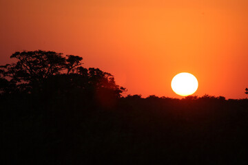Sonnenaufgang - Krüger Park Südafrika / Sunrise - Kruger Park South Africa /