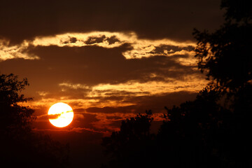 Sonnenaufgang - Kr&uuml;ger Park S&uuml;dafrika / Sunrise - Kruger Park South Africa /