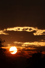 Sonnenaufgang - Krüger Park Südafrika / Sunrise - Kruger Park South Africa /