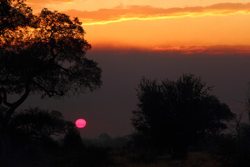 Sonnenaufgang - Krüger Park Südafrika / Sunrise - Kruger Park South Africa /