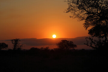 Sonnenaufgang - Krüger Park Südafrika / Sunrise - Kruger Park South Africa /