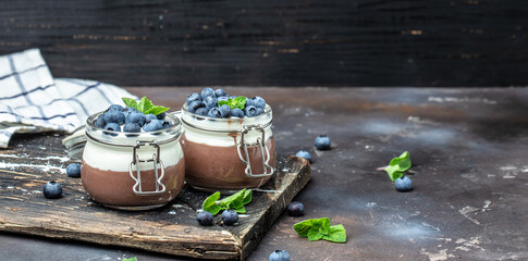Chocolate panna cotta with blueberries. Chocolate pudding and greek yogurt parfait. Long banner...