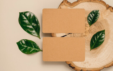 Blank business paper cards on wooden stand with plant leaves, top view, flat lay. Business brand,...