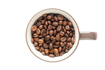 Isolated Coffee Beans in Brown Coffee Cup on White Background.