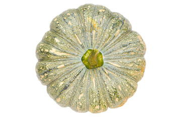 Cutout Top View of Green Asian Pumpkin on White Background.