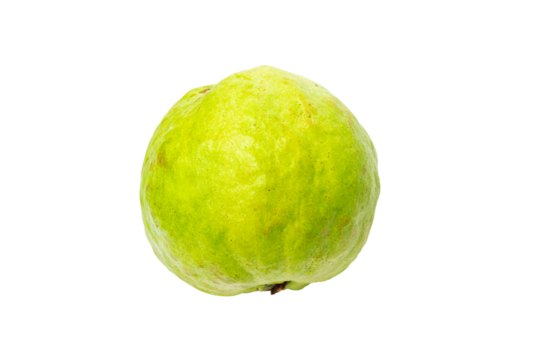 Cutout guava. One whole guava fruit isolated on white background