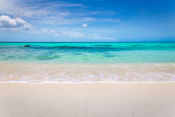 Fototapeta na wymiar Idyllic and translucent caribbean beach at sunny day in Aruba