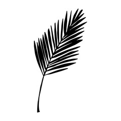 Simple tropical leaf silhouette illustration. Hand drawn vector clipart. Botanical doodle for print, web, design, decor, logo.