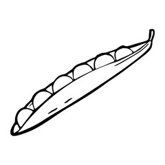 Fresh pea pod open. Vector black vintage engraving. Isolated on white background