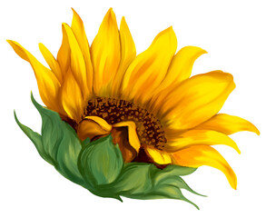 Sunflower blossom art painting