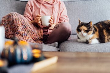 Close up woman in plaid holding cup of tea or coffee, watching movie, TV with multicolored cat on...