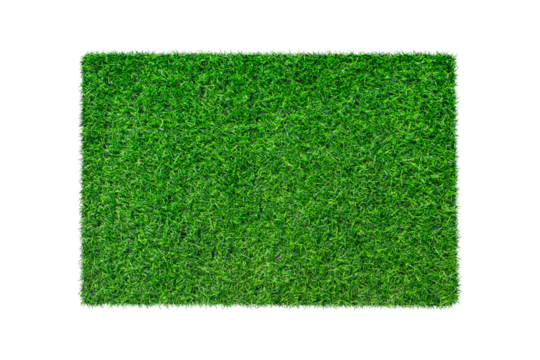 Artificial green carpet grass isolated on transparent background - PNG format.