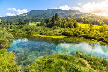Fototapeta na wymiar Zelenci - emerald-green lake in the mountains