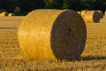 Strohballen auf Feld