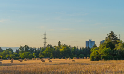 Strohballen auf Feld zwischen Egelsbach und Langen Hessen