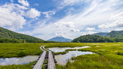 夏の尾瀬　木道と燧ヶ岳