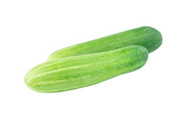 Fresh cucumber isolated on white background with clipping path