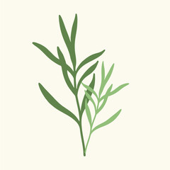 Fototapeta premium Plant drawn by hand. Flat, design, cartoon, vector illustration.
