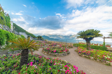 Flowers by the sea in Ravello