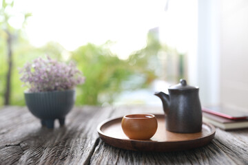 Tea pot and tea cup and Mini Turtle Plant