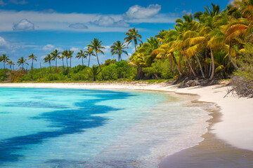 Naklejka na ściany i meble Tropical paradise: idyllic caribbean beach with palm trees, Punta Cana, Saona