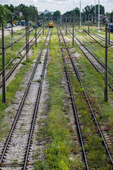 Fototapeta na wymiar empty railroad tracks overgrown with grass. without carriages