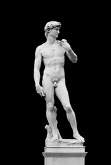 Il Davide di Michelangelo - 522537322