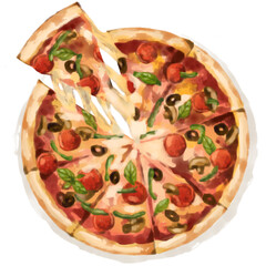 Hand drawn watercolor of pizza and ingredients including tomato, black olive, bell pepper, basil, mashroom. 