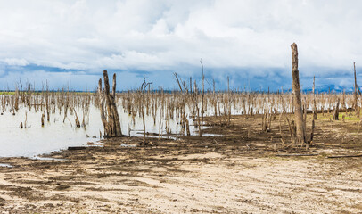 Forests were destroyed because of the construction of a dam in Laos.