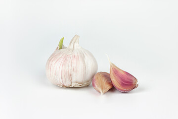 Close-up of garlic clove with a sprout on white background. Raw garlic with segments on white background