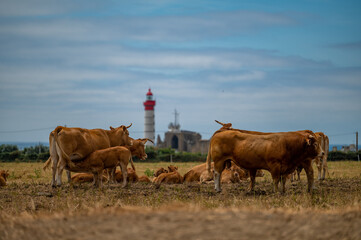 Leuchtturm Sankt Martin bei Plougonvelin
