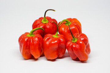 Lombok Katokkon is a kind of chili or Lombok prima donna typical of Tana Toraja. The shape is like Paprika chili (Capsicum Annuum var. Grossum) but in mini form, short round fat.
