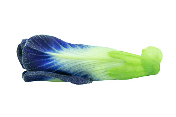 Butterfly pea, Blue pea isolated on white background with clipping path.