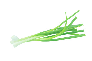 Green onion isolated on white background with clipping path.