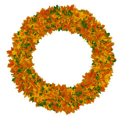 round autumn wreath of maple yellow, red, green leaves - obrazy, fototapety, plakaty