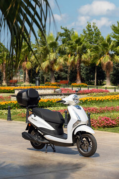 Yamaha's new 125cc scooter Yamaha D'elight is on the road.