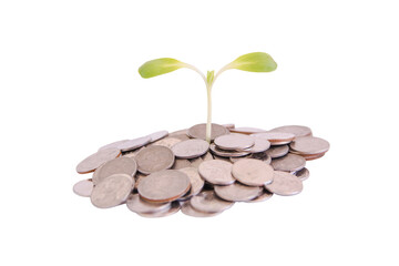 Green growing sprout, Concept savings,