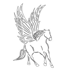 winged pegasus sketch on white background isolated, vector