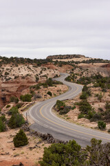 Scenic Road surrounded by Red Rock Mountains in the Desert. Spring Season. Canyonlands National Park. Utah, United States. Adventure Travel.