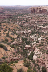 Scenic American Landscape and Red Rock Mountains in Desert Canyon. Spring Season. Canyonlands National Park. Utah, United States. Nature Background.