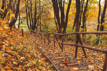 stairs in autumn park