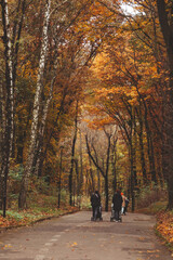 Lviv, Ukraine - November 2, 2020: people walking outdoors by autumn city park