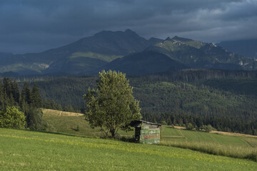 Fototapeta premium landscape with house