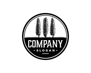 Cypress Vector silhouette Logo. Conifer Cypress tree silhouettes on the white background	