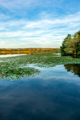 Sommerliche Erkundungstour durch das schöne Werratal - Breitungen - Seeblick