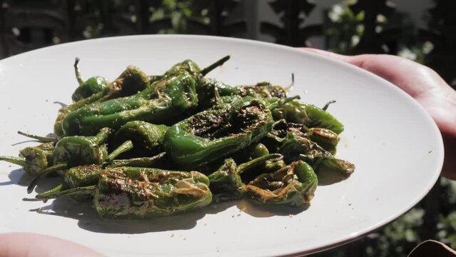 Traditional Spanish patron peppers, green padrons tapas.
