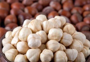 Pile of peeled hazelnuts close up