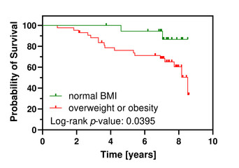 The Kaplan-Meier (KM) graph depicting survival in two groups of patients characterized by either normal or increased BMI. Results of statistical evaluation (log-rank test) of the model are depicted.